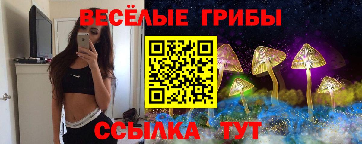 Псилоцибиновые грибы мицелий Стрежевой