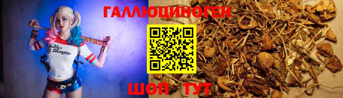 хочу   Вход с VPN  Стрежевой  Псилоцибиновые грибы MAGIC MUSHROOMS 